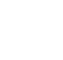 Logo Light